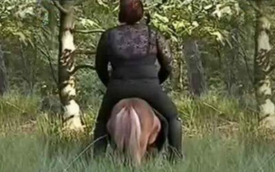 How much weight should a horse carry?