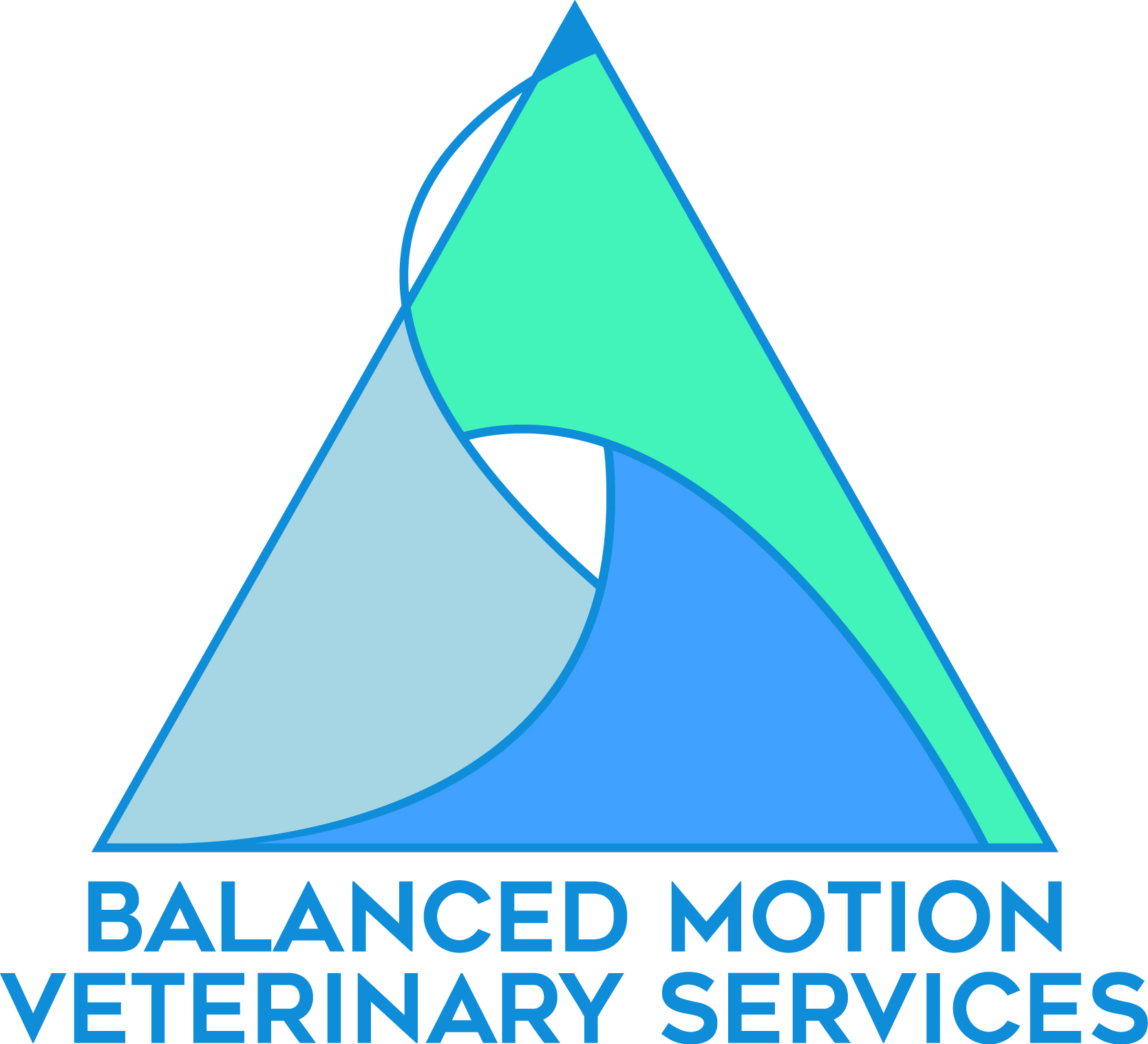 how-much-weight-should-a-horse-carry-balanced-motion-veterinary-services